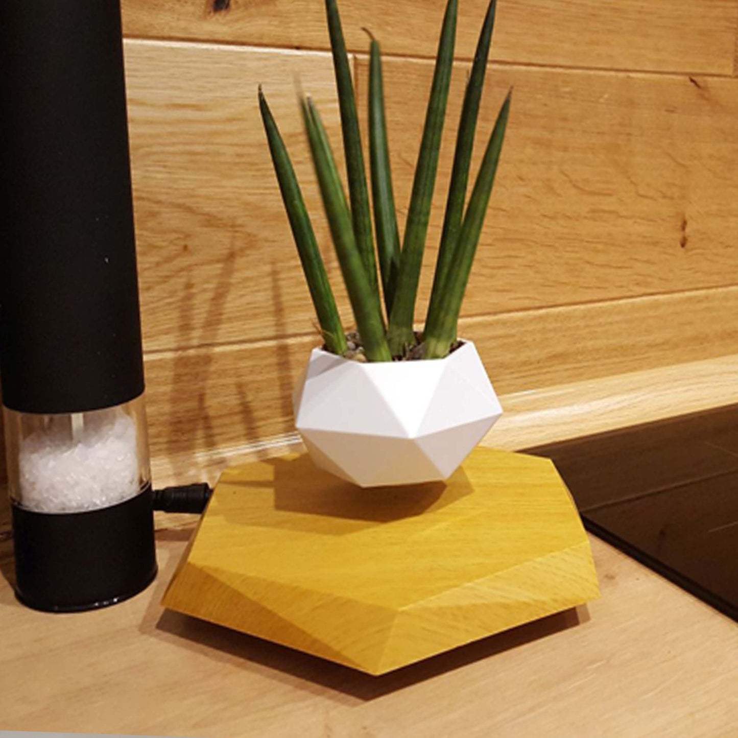 Floating Plant Pot - Magnetic Levitating Plant Pot